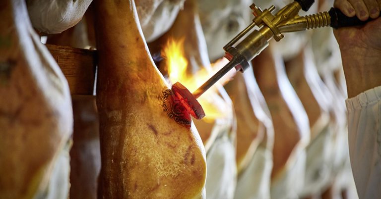 San Daniele Prosciutto Brandzeichen