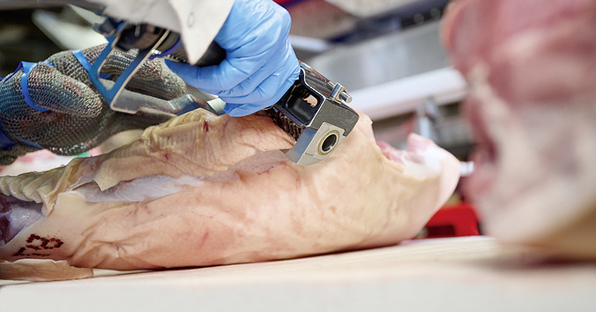 Bettcher Goldschmaus