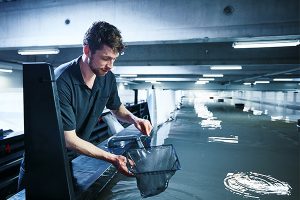 Oceanloop Shrimp Farm