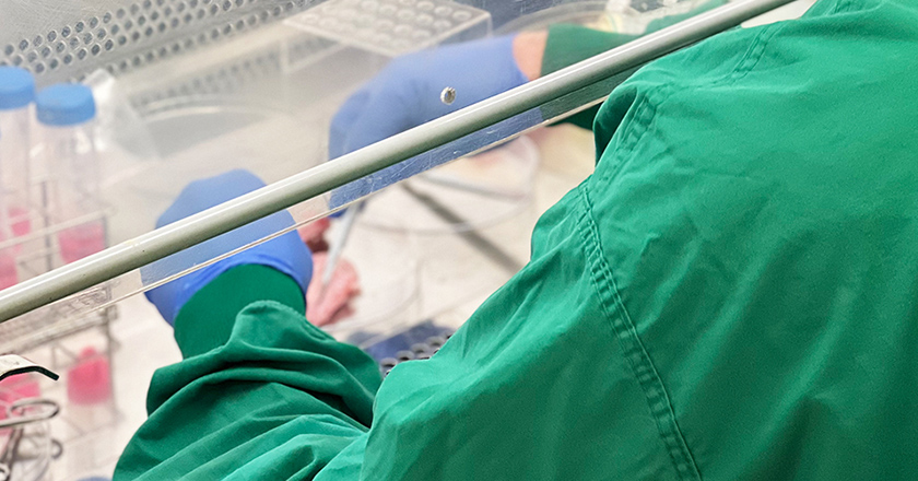 MyriaMeat Kultiviertes Schweinefleisch