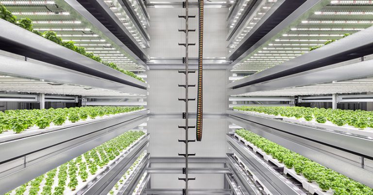 Vertical Farming
