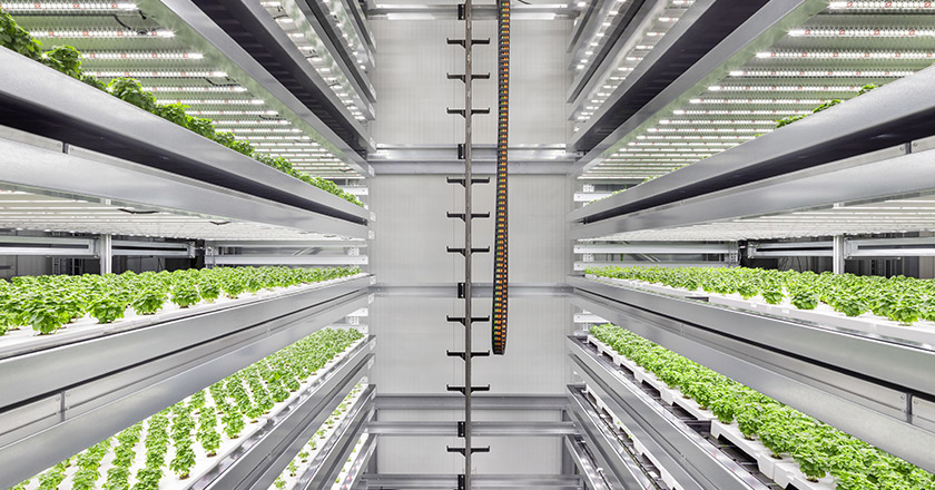 Vertical Farming