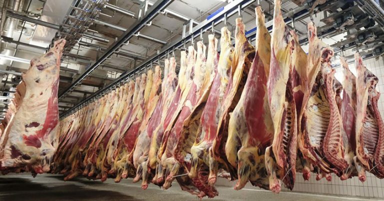 Vion Schlachhof Waldkraibuurg