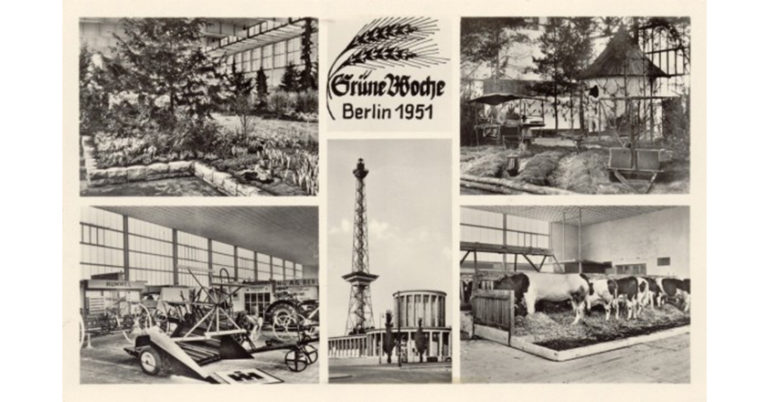 Gruene Woche Postkarte 1951
