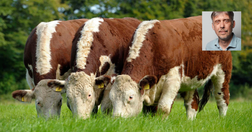 Stephan Otto Weniger Fleisch