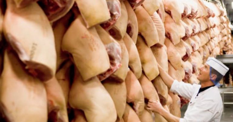 Daenemark Schweine HJ 1 2026
